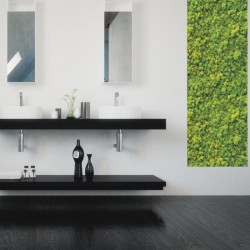 Mur vegetal - Salle de bain
